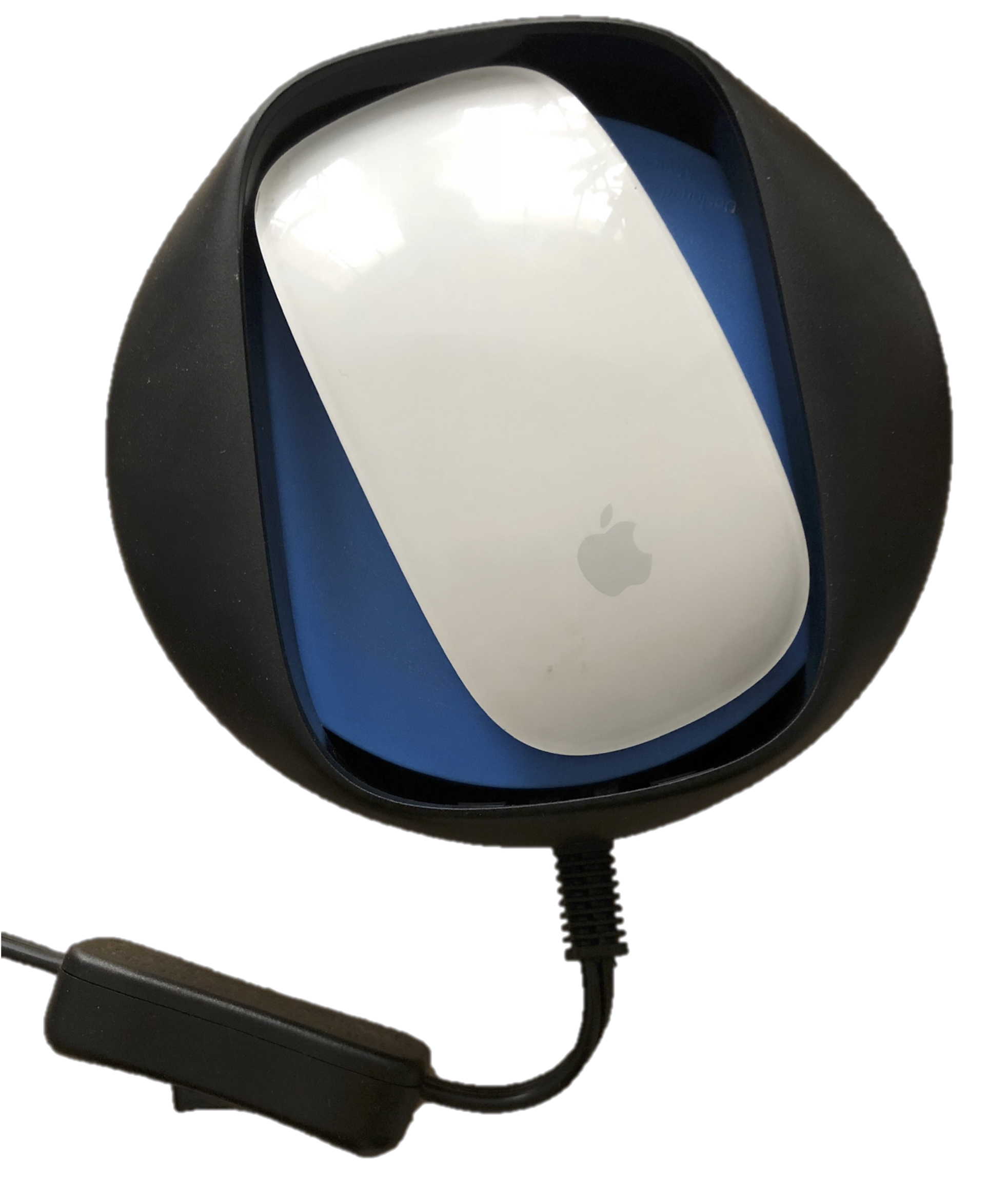 F2 apple mouse